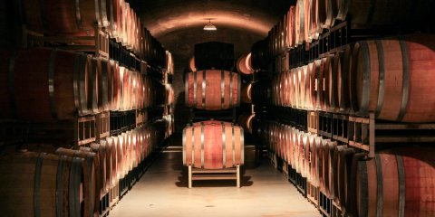 Vinslottet har egen produksjon og herlige viner